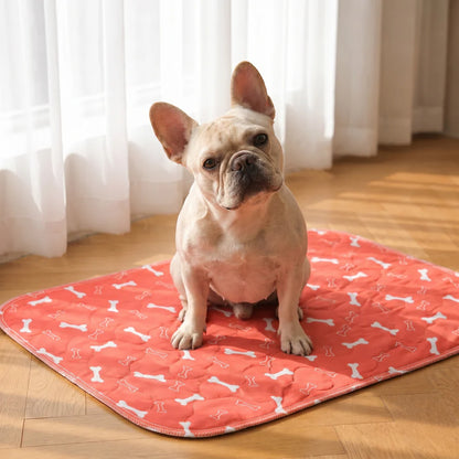 Avasoma® Pad – The Smart Pee Pad Dogs Actually Use