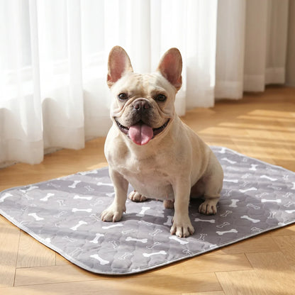 Avasoma® Pad – The Smart Pee Pad Dogs Actually Use