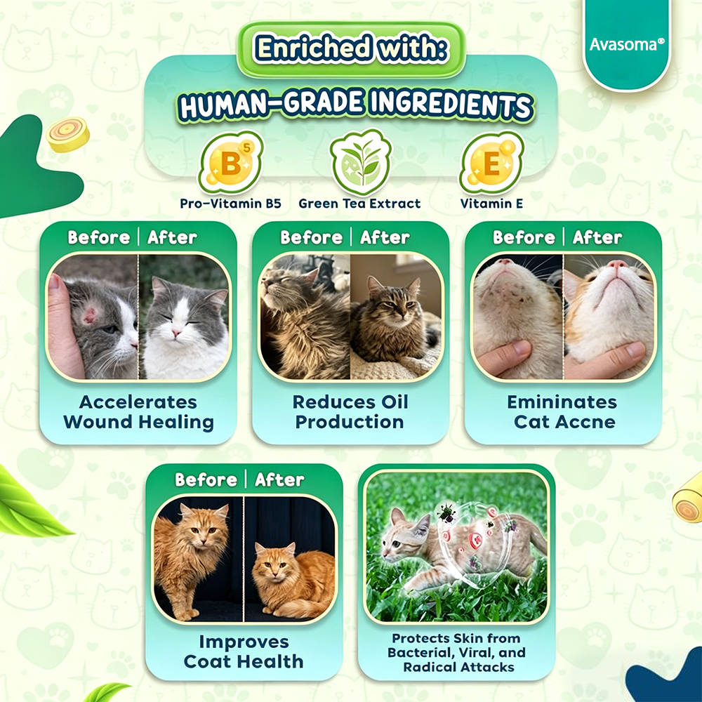 🐈Avasoma® 10-in-1: The Ultimate All-Skin Solution for Your Cat! ✨