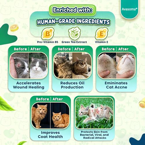 🐈Avasoma® 10-in-1: The Ultimate All-Skin Solution for Your Cat! ✨
