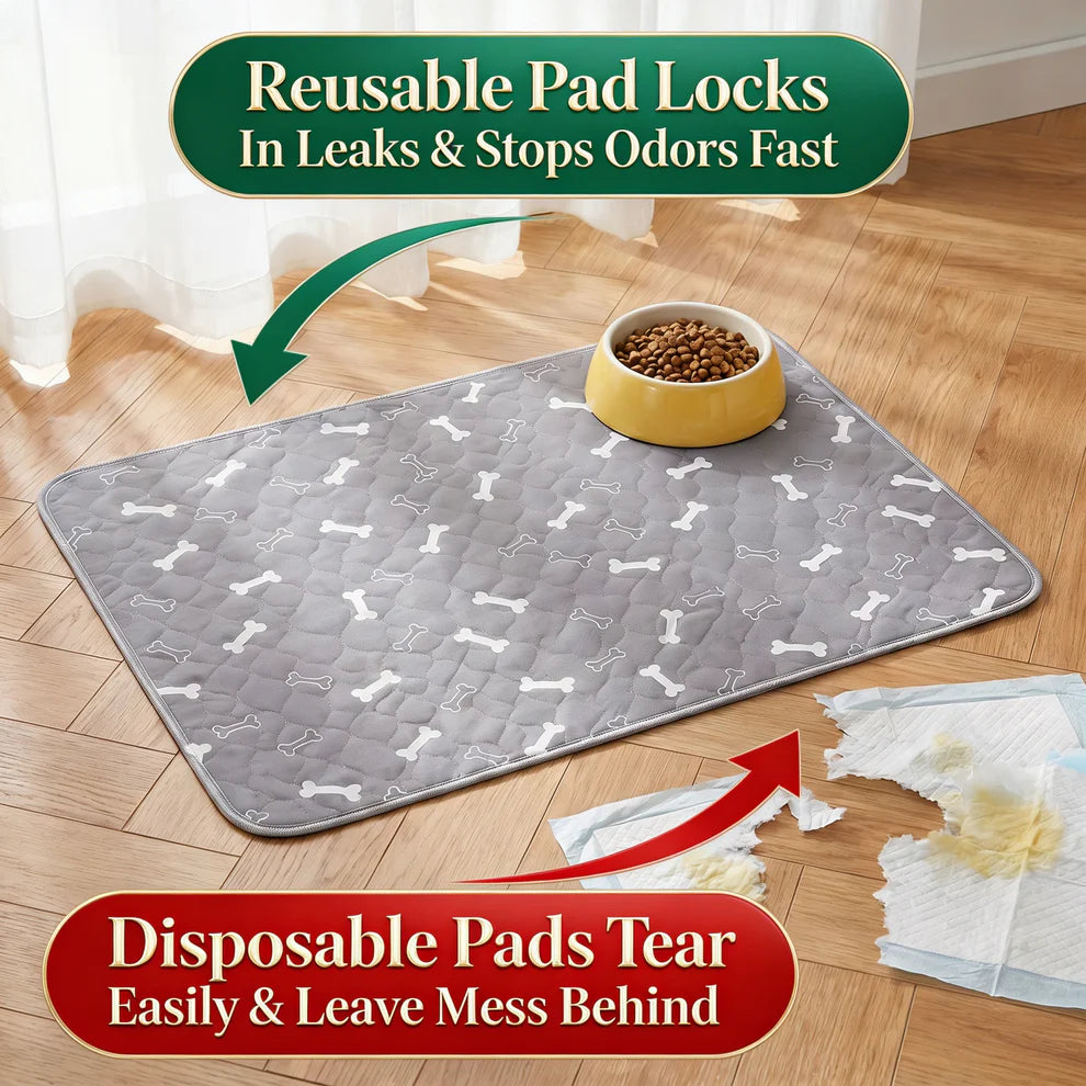 Avasoma® Pad – The Smart Pee Pad Dogs Actually Use
