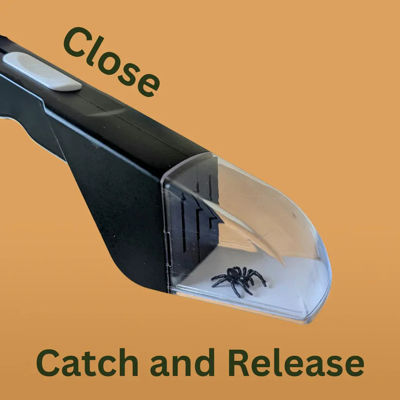 Avasoma® Insect Catcher