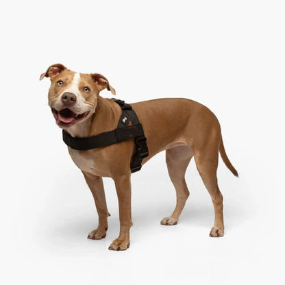 🗽No-Pull Harness