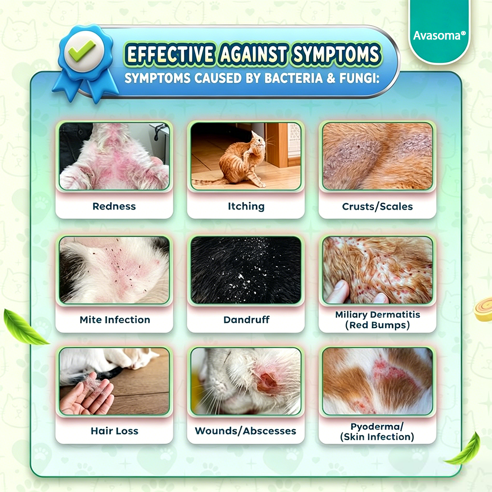 🐈Avasoma® 10-in-1: The Ultimate All-Skin Solution for Your Cat! ✨