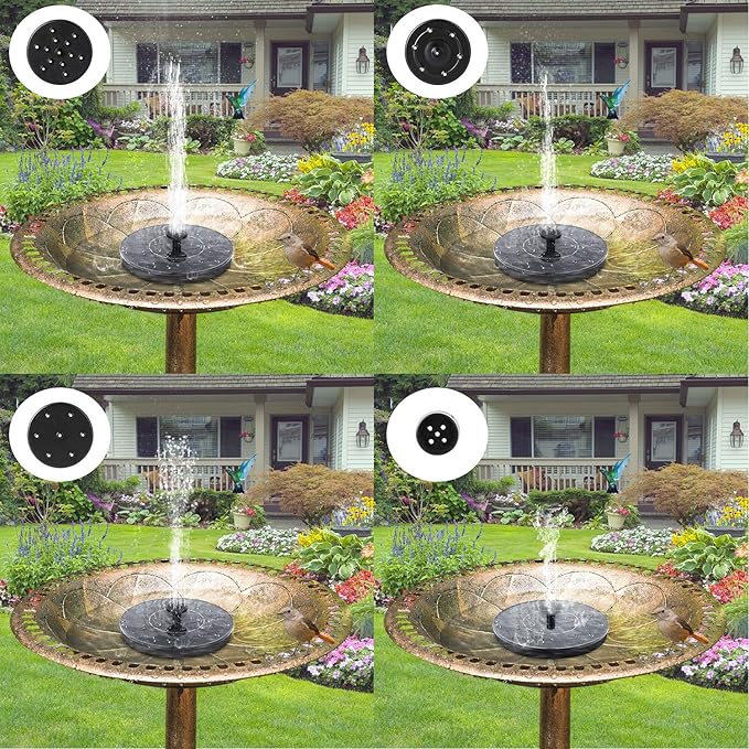 Turn Your Garden into a Bird Paradise—Powered by the Sun