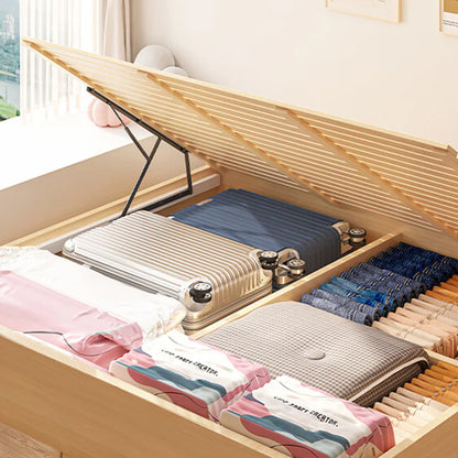 🗽Limited-time offer-No-Pump 3D Vacuum Storage Bags
