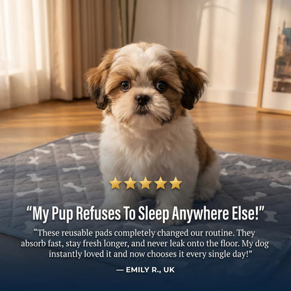 Avasoma® Pad – The Smart Pee Pad Dogs Actually Use