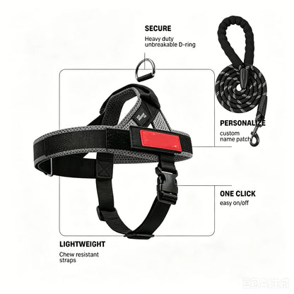 🗽No-Pull Harness