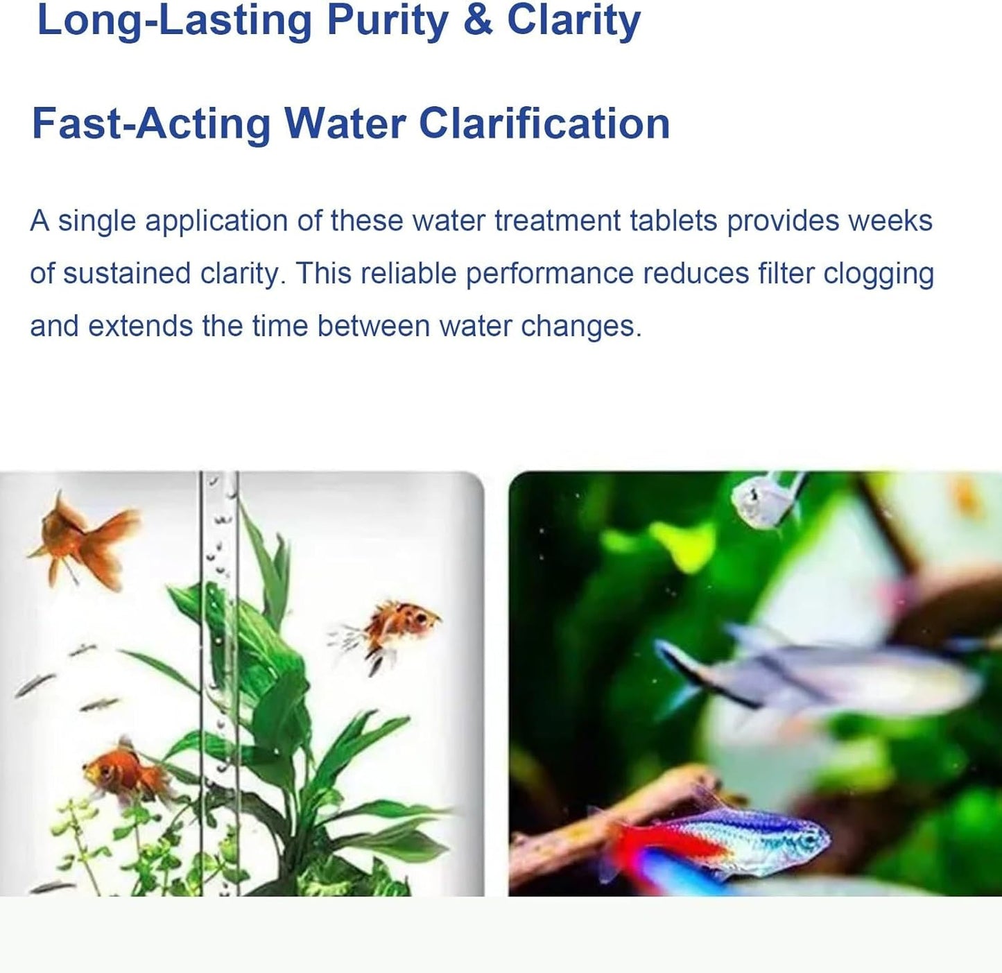 🐠Crystal Clear Aquarium Water Tablets – Fast-Acting Purification, pH Balanced, Safe & Easy Maintenance for Fish Tanks & Ponds