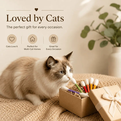Giant Q-Tip Cat Toys with Catnip