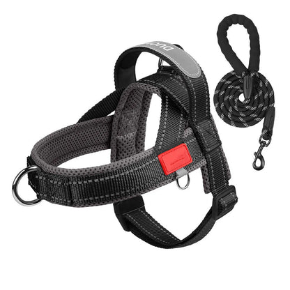 🗽No-Pull Harness